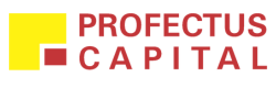 PROFECTUS CAPITAL 1